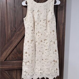 Ann Taylor Cream Floral Lace Mini Dress